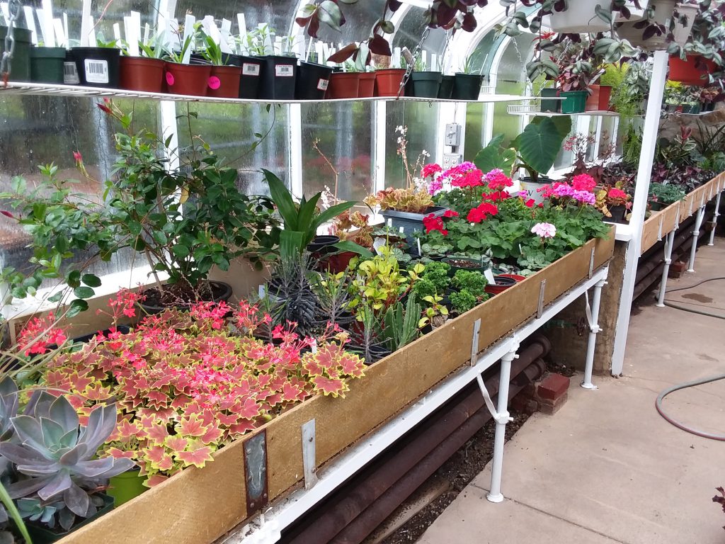 Greenhouse New Jersey Botanical Garden