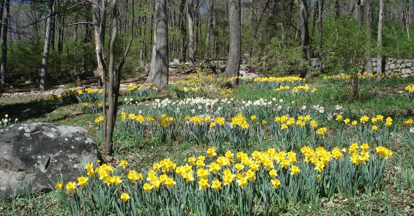 Audobon Autumn Nature Walk